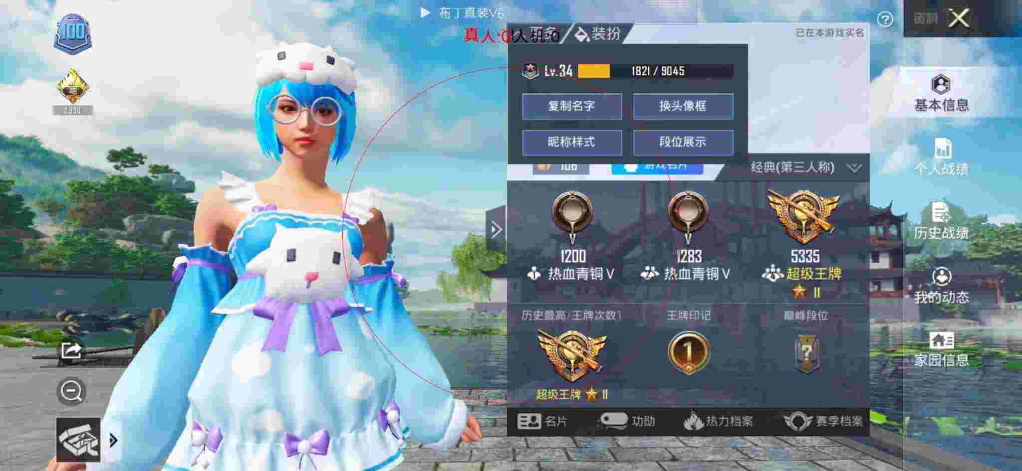 和平精英布丁直装透视 - 和平精英透视外挂画面辅助预览图
